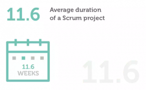 scrum中文网scrum行业报告11