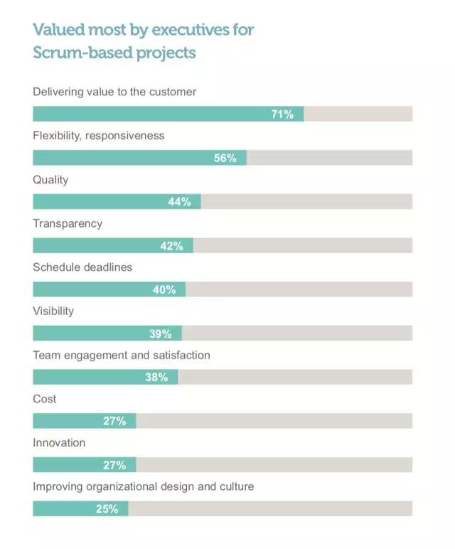 scrum中文网scrum行业报告17