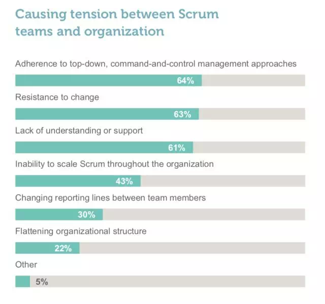 scrum中文网scrum行业报告23